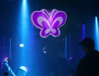 Butterflies