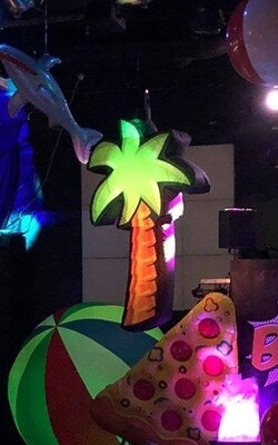Palm Tree Lux