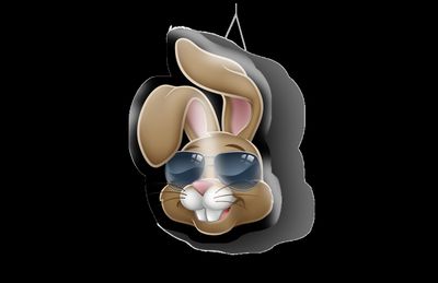 Hanging Printed Easter Bunny inflatable(Sunglasses) (size 3)122cm/4ft w x 171cm/5.6ft h. Image on BOTH sides. Includes Fan unit, 10m power cable, Colour LED Bluetooth (Using Phone APP)