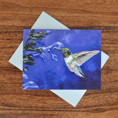 "humming Blue" Note Cards - 4 Pack