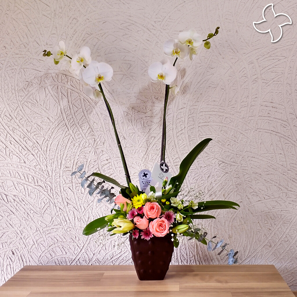 Orquídea en maceta floral