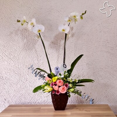 Orquídea en maceta floral