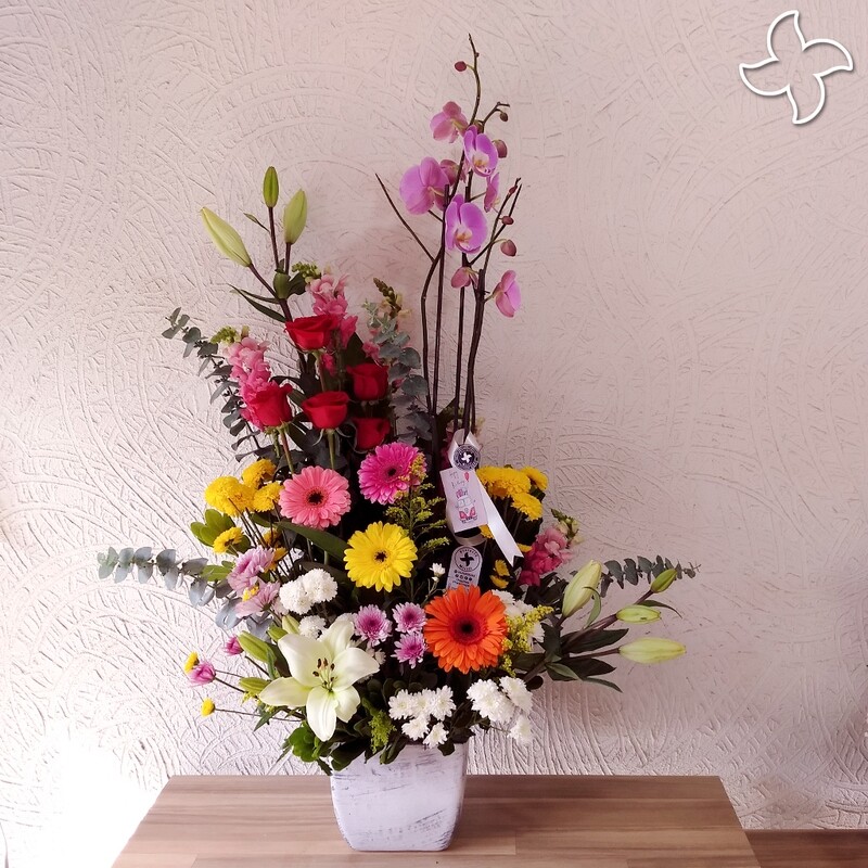 Jardinera mediana orquídea
