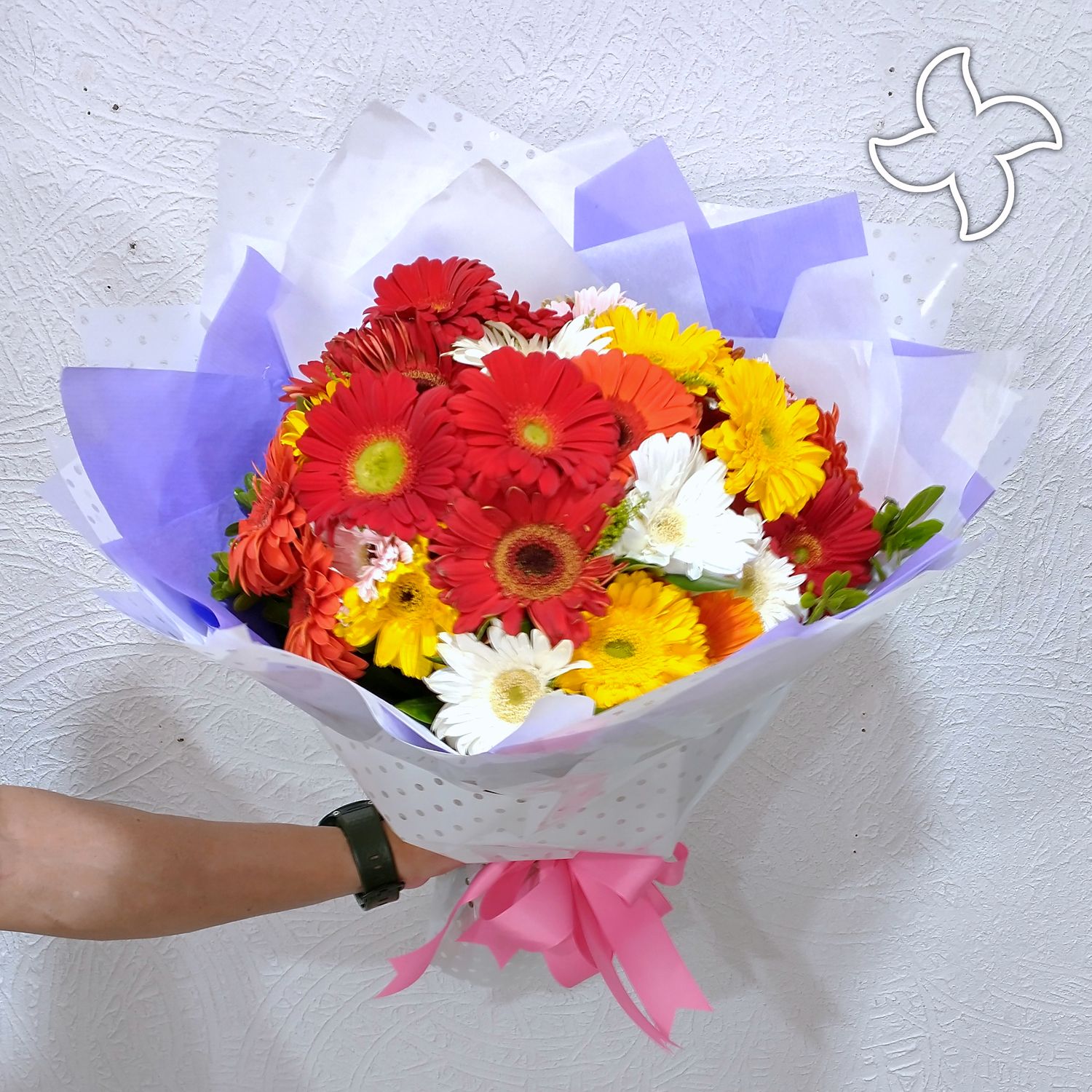 Ramo 50 gerberas