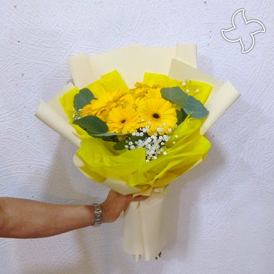 Ramo 12 gerberas plus