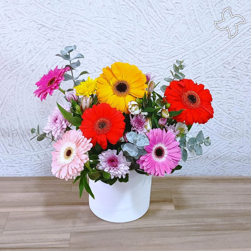 Caja redonda chica gerberas