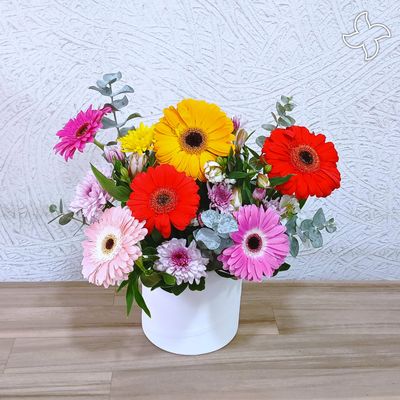 Caja redonda chica gerberas