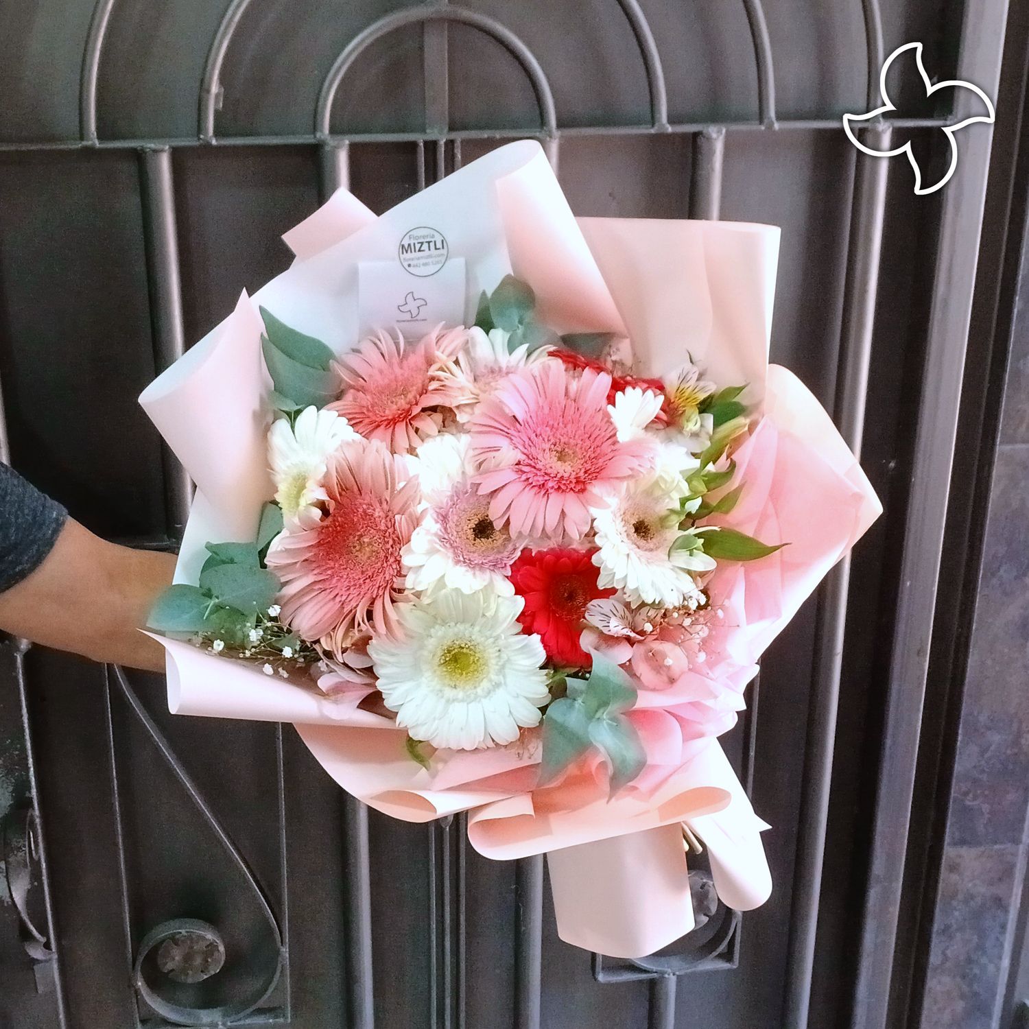 Ramo 12 gerberas plus