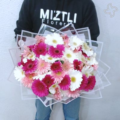 Ramo 50 gerberas