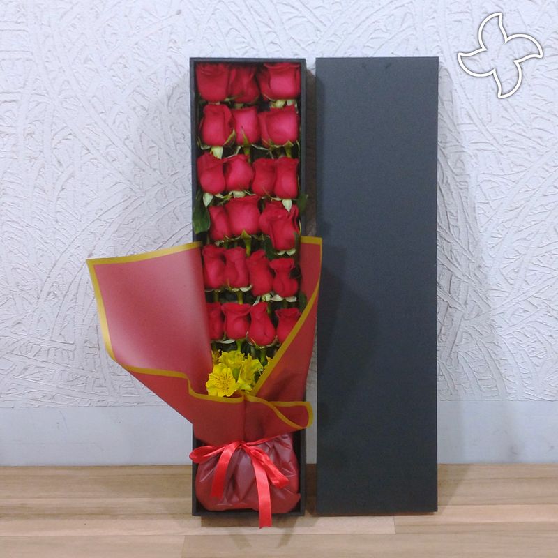 Caja larga 24 rosas