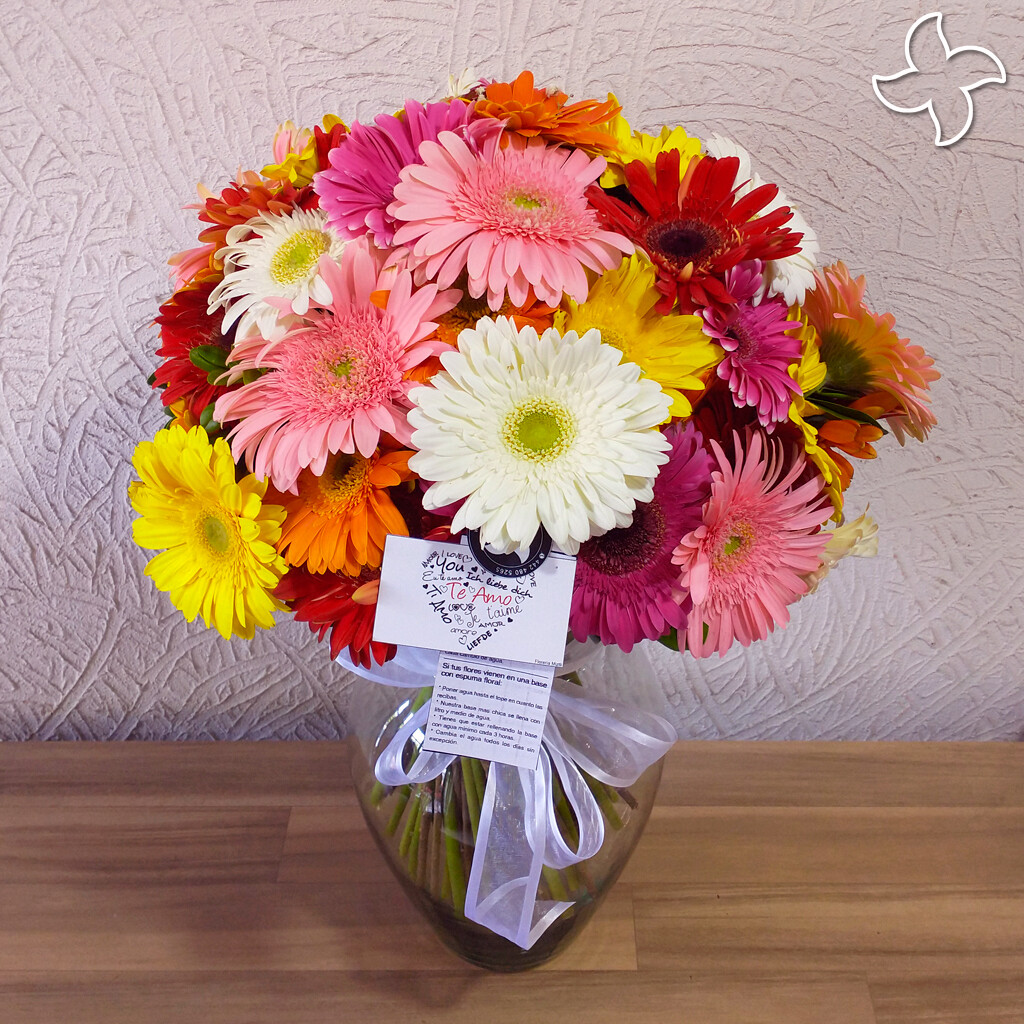 Florero grande 48 gerberas