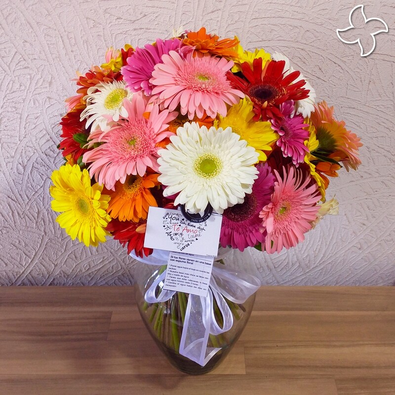 Florero grande 48 gerberas