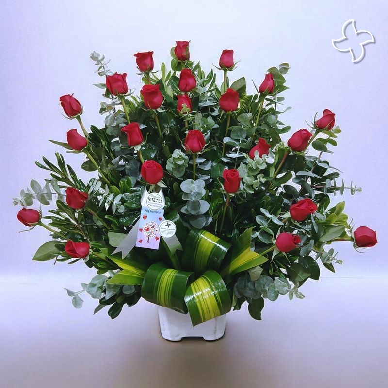 Base 24 rosas