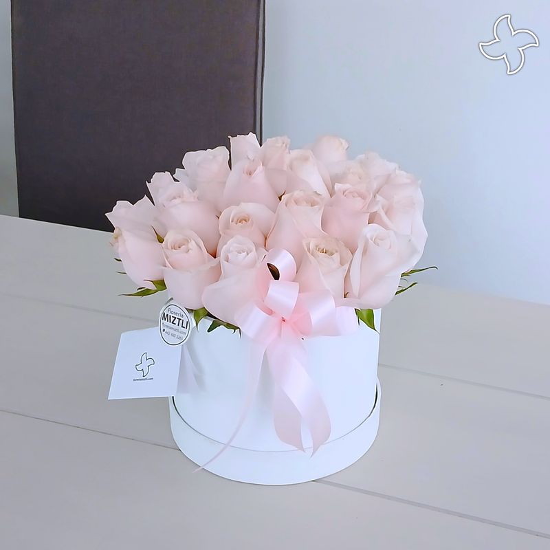 Caja redonda 24 rosas