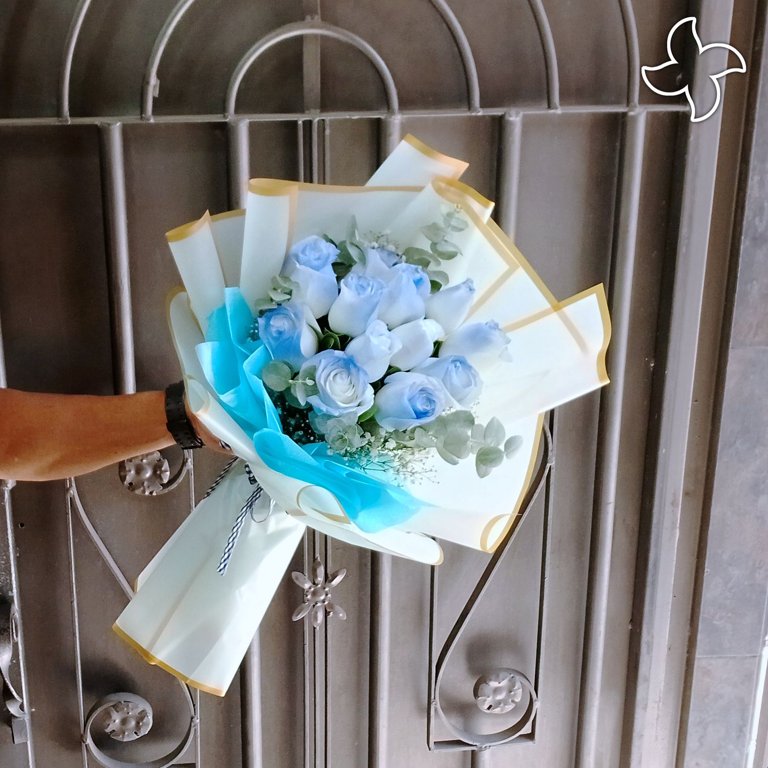 Ramo 12 rosas blue plus