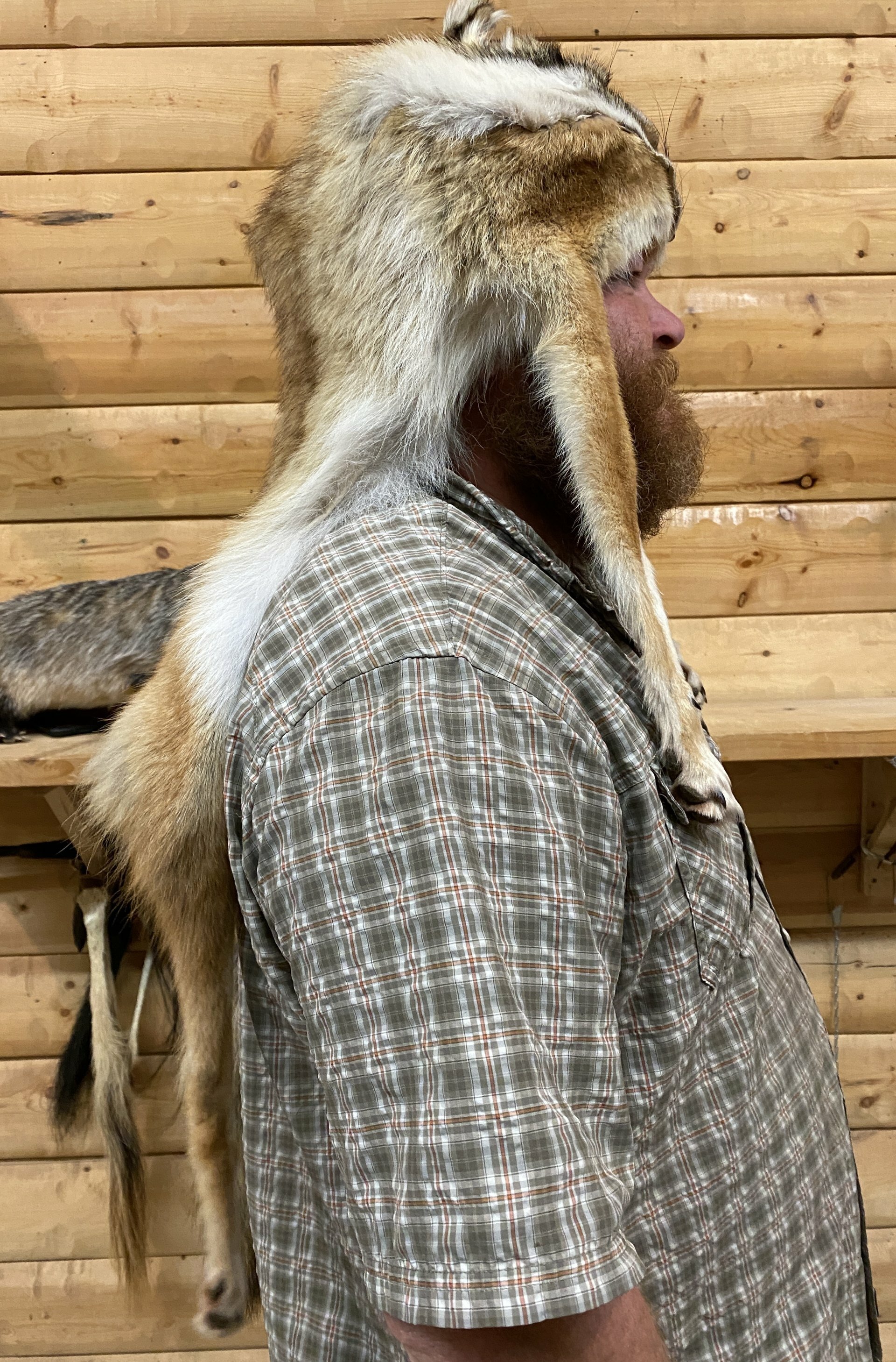 coyote fur trapper hat