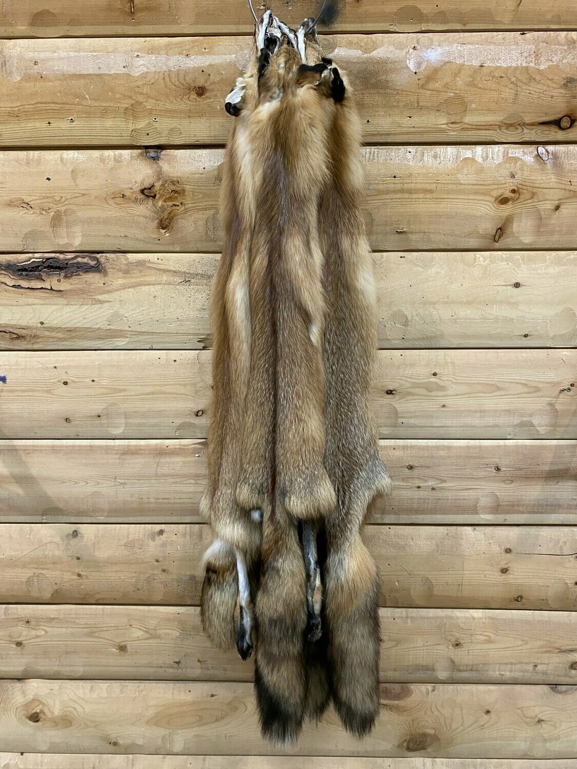 Red Fox Fur with Feet