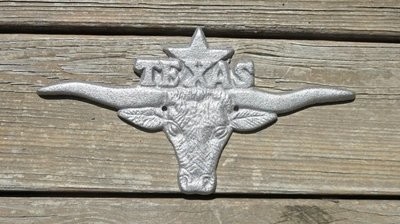 Longhorn with Texas & Star ~ DI-032