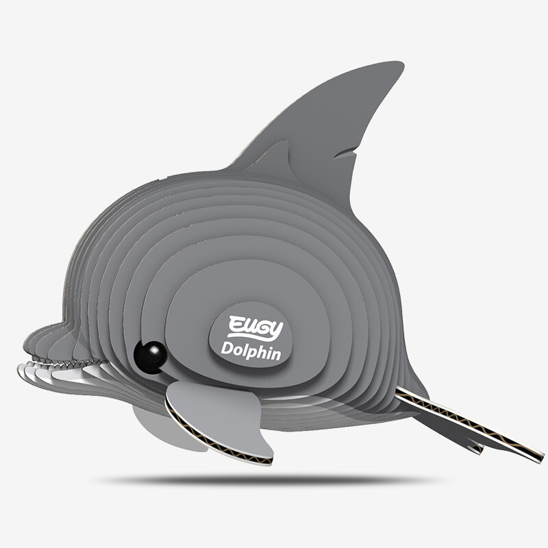 021 Dolphin