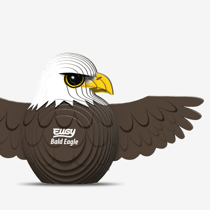 022 Bald Eagle