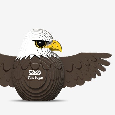 022 Bald Eagle