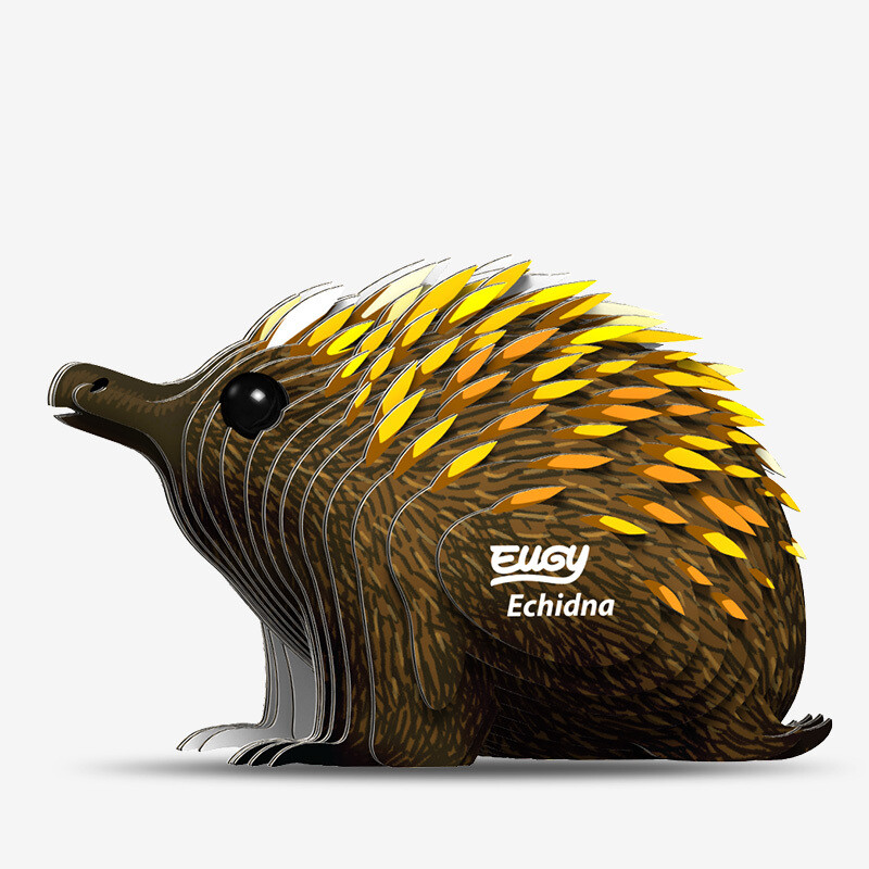 058 Echidna