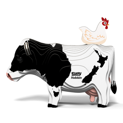 079 Holstein Friesian