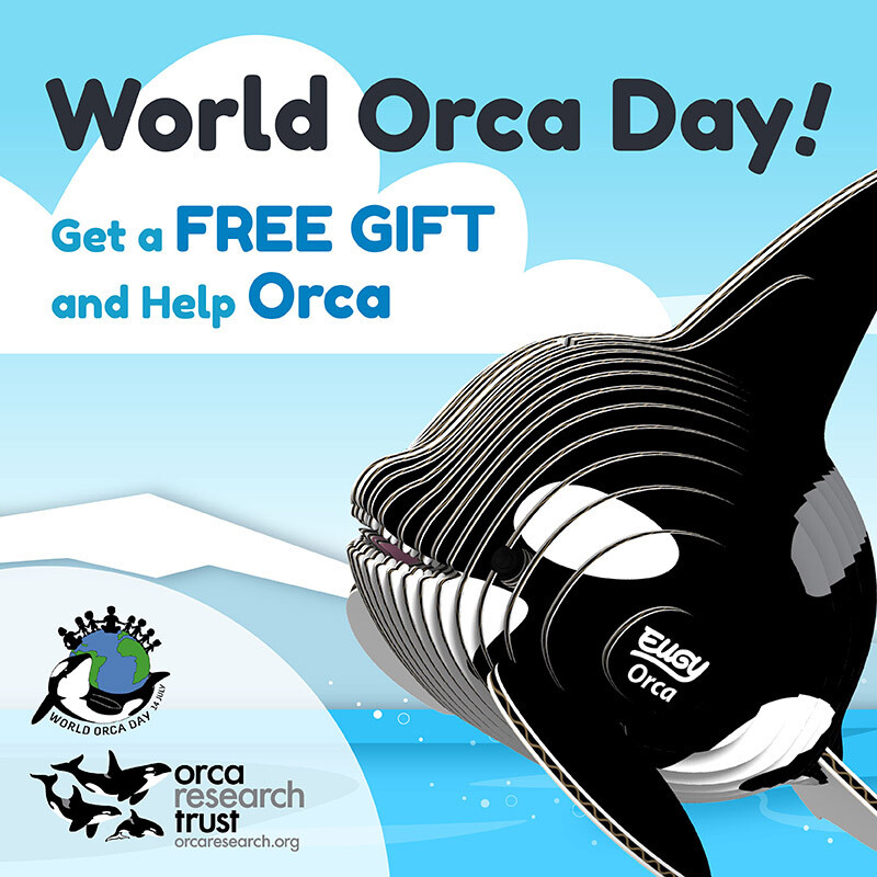 (Special) A ‘Orca-some’ Deal
