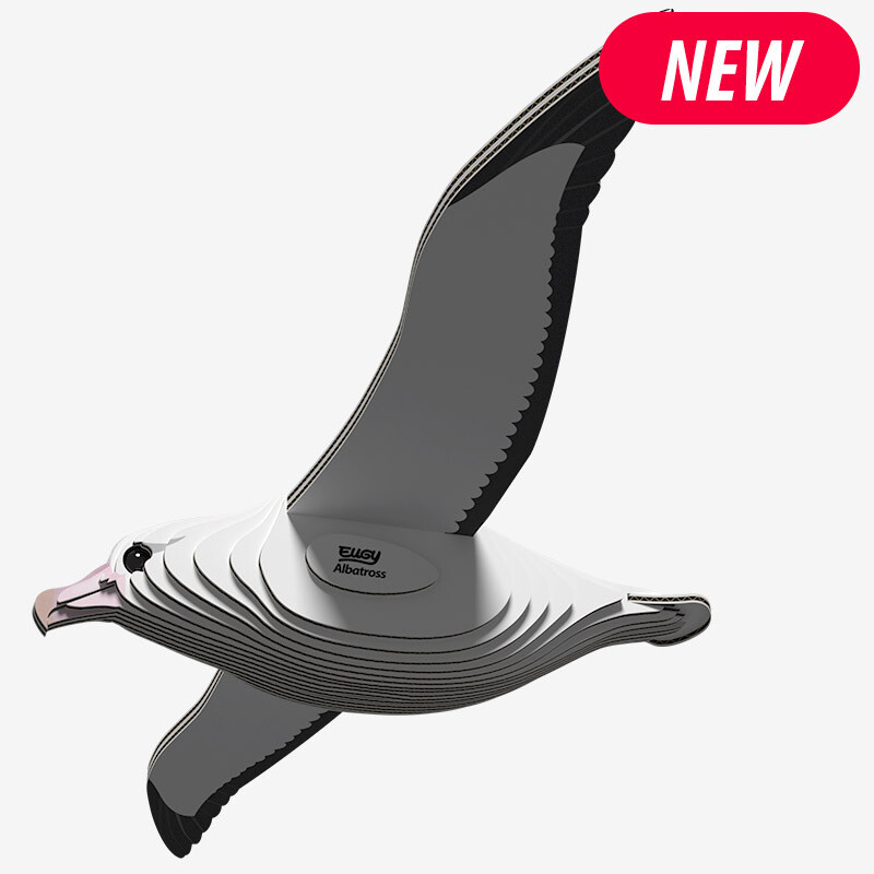 EUGY 097 Royal Albatross