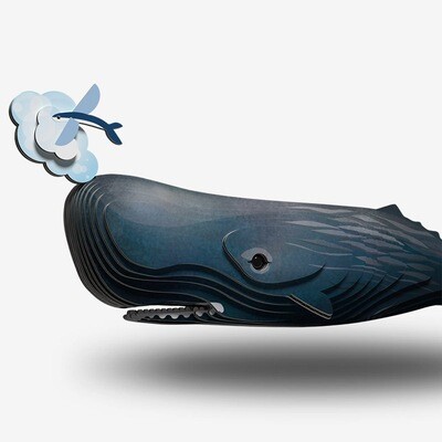092 Sperm Whale