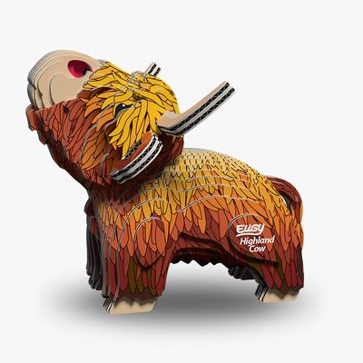 106 Highland Cow