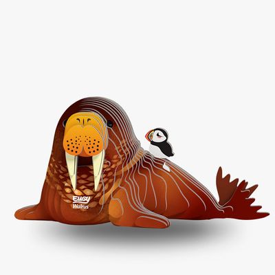 107 Walrus