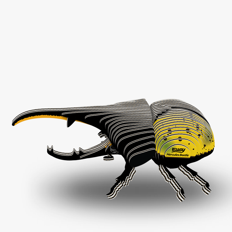 112 Hercules Beetle