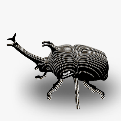 113 Rhino Beetle