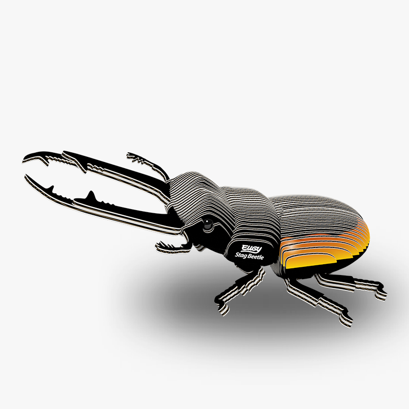 114 Stag Beetle
