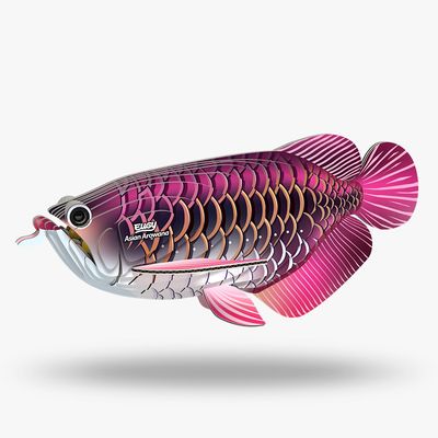 118 Asian Arowana