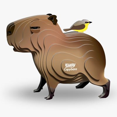 120 Capybara