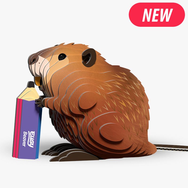127 Beaver