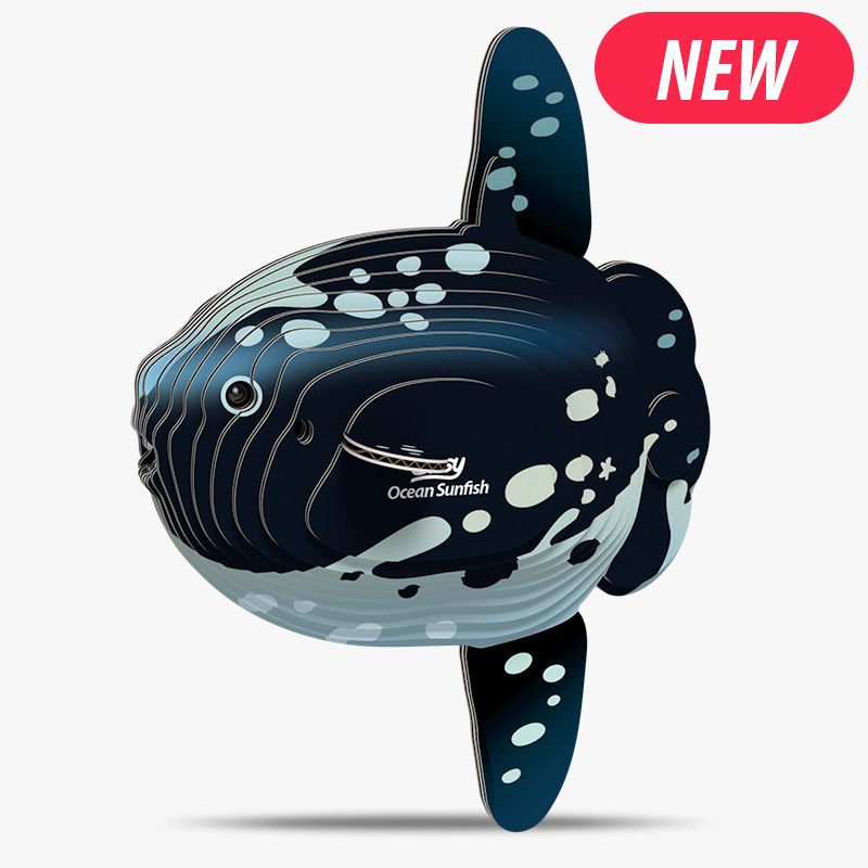 132 Ocean Sunfish