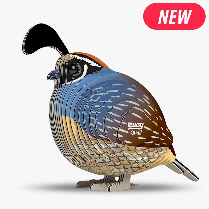 129 Quail