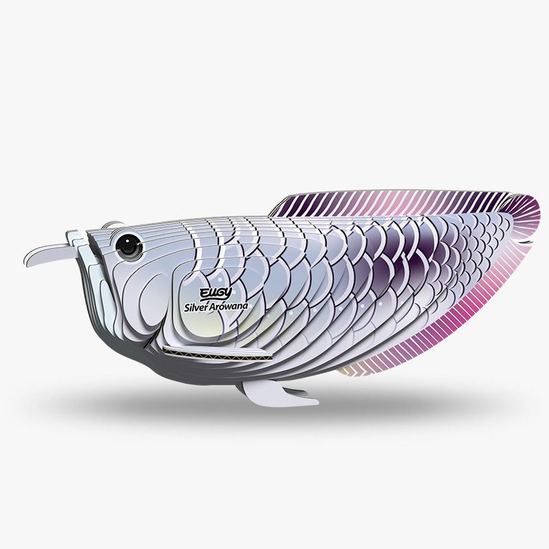 124 Silver Arowana