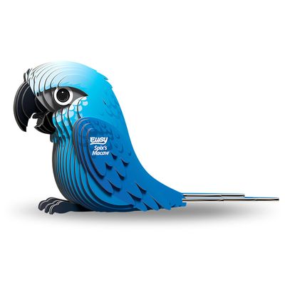 123 Spix&#39;s Macaw