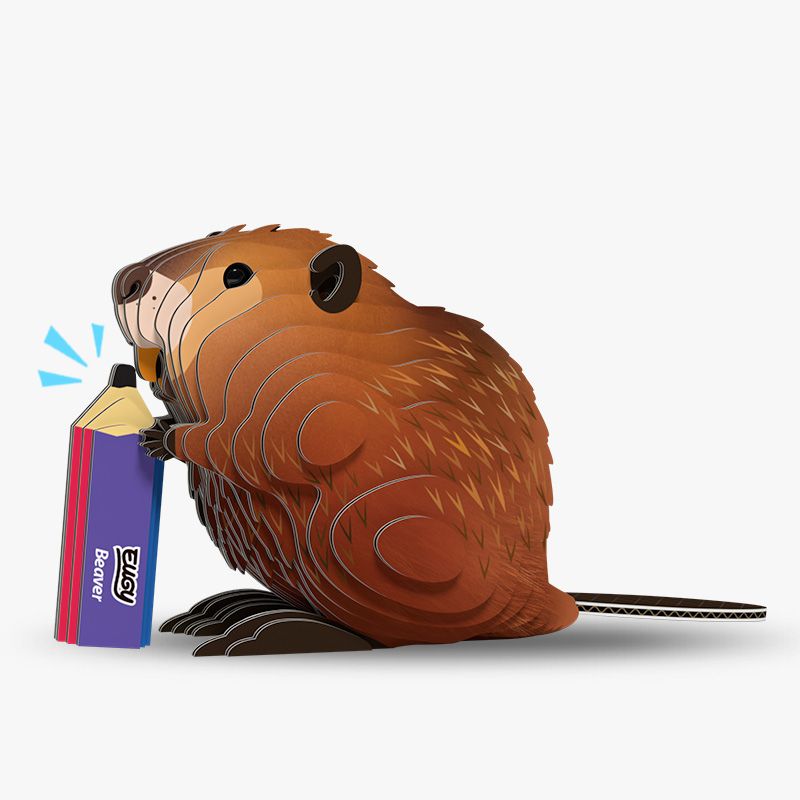 127 Beaver