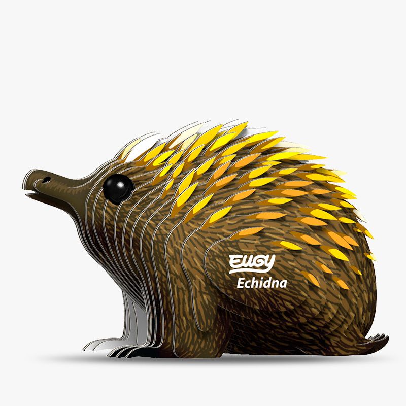 058 Echidna