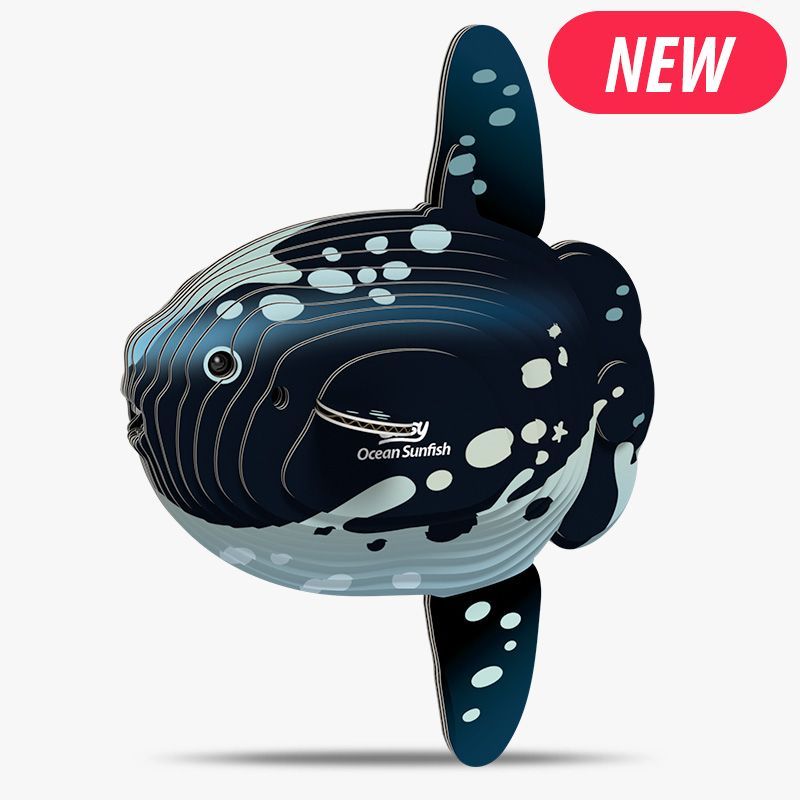132 Ocean Sunfish