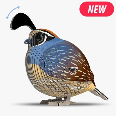 129 Quail