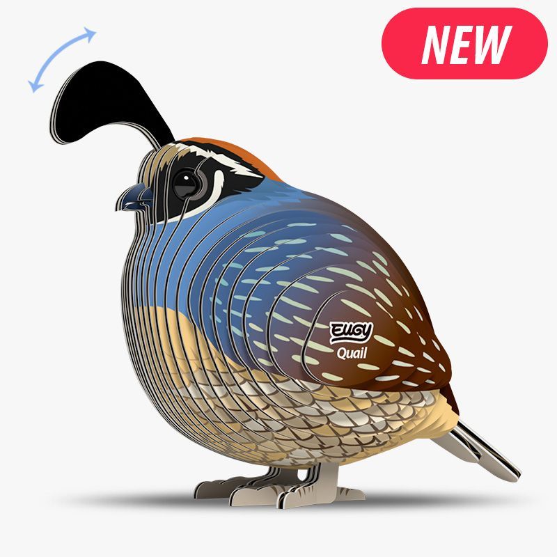 129 Quail