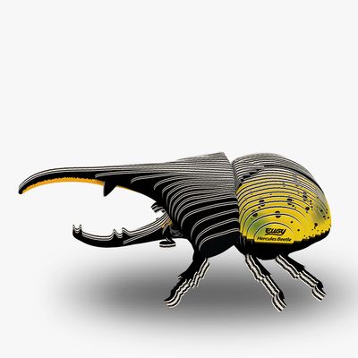 112 Hercules Beetle