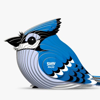 067 Blue Jay