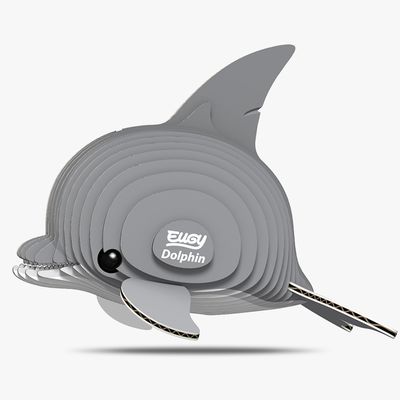 021 Dolphin